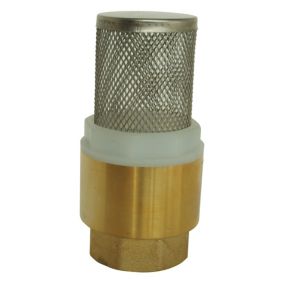 Somatherm For You - Clapet crépine universel Femelle 1 1/2 axe plastique