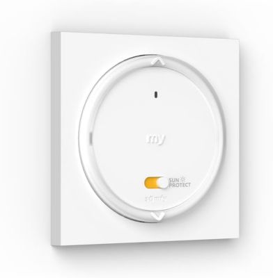 Somfy Amy 1 Rs100 Io - 1871600
