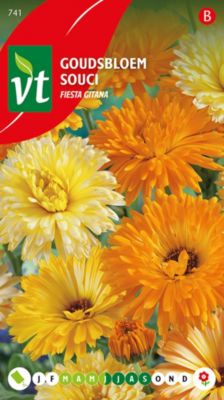Souci Calendula Fiesta Gitana - Ca. 1,25 gr