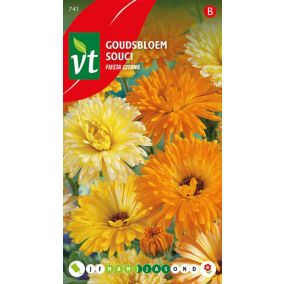Souci Calendula Fiesta Gitana - Ca. 1,25 gr