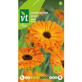 Souci Calendula Fiesta Orange - Ca. 2 gr