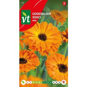 Souci Calendula Nova - Ca. 1,25 gr