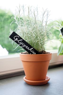 Soucoupe terre cuite pour pot Verve Laleh ø13,1 cm