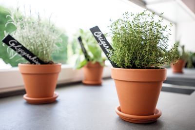 Soucoupe terre cuite pour pot Verve Laleh ø23 cm