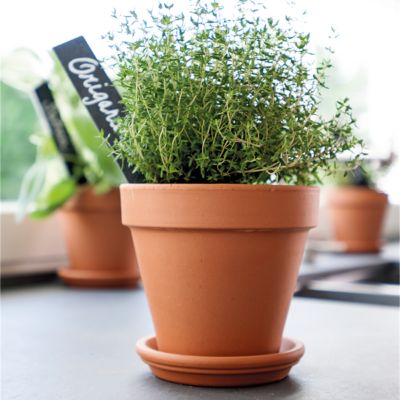 Soucoupe terre cuite pour pot Verve Laleh ø23 cm