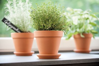 Lot De 6 Grilles De Drainage Avec Soucoupes Pour Pots De Fleurs - 20 Cm - Améliore L'aération Et évite La Pourriture Des Racines