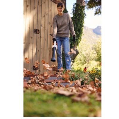 Souffleur à batterie 10,8 V 43 m³/h Stihl BGA30 (vendu avec 2 batteries AS 2 et un chargeur AL 1)