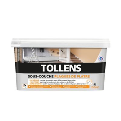 Sous Couche Plaques De Platre Tollens Blanc 5l Castorama