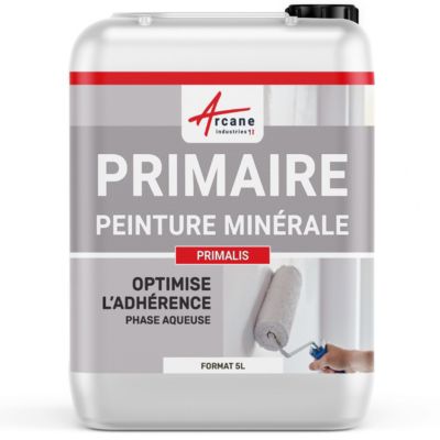 SOUS-COUCHE, PRIMAIRE POUR PEINTURE ARGILE & CHAUX & BADIGEON & STUCCO - PRIMALIS  - 5 L - ARCANE INDUSTRIES
