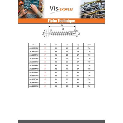 Spax Vis bois Tête ronde TR T-STAR+ TORX T30 WIROX 6X50 - 1 pièce