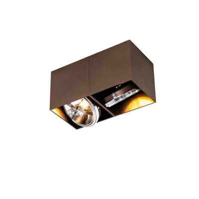 Spot design rectangulaire bronze foncé 2 lumières inclinable et rotatif ...