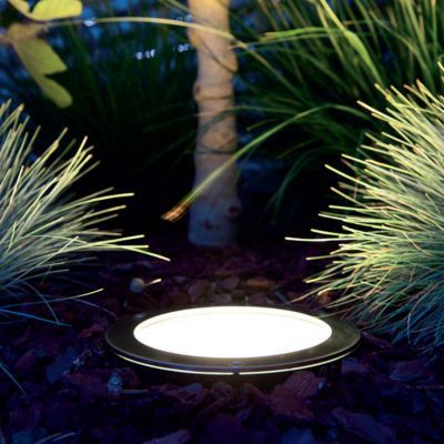 spot a enterrer fixes pour arbres coloris noir castorama