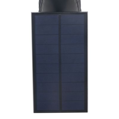 Spot extérieur LED à énergie solaire IP44 1 W 120lm blanc froid H.44,8 x l.24,5cm noir