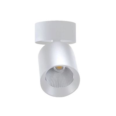 Spot LED en Saillie Orientable 20W CCT(3000K - 4000K - 6500K), rotatif à 360 degrés - Blanc