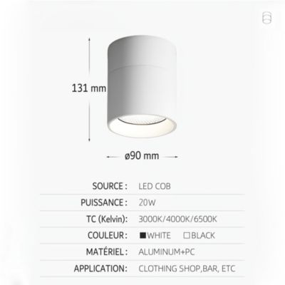 Spot LED en Saillie Orientable 20W CCT(3000K - 4000K - 6500K), rotatif à 360 degrés - Blanc