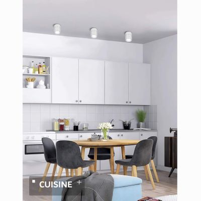Spot LED en Saillie Orientable 20W CCT(3000K - 4000K - 6500K), rotatif à 360 degrés - Blanc