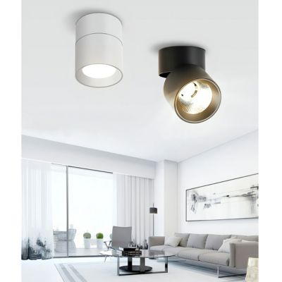 Spot LED en Saillie Orientable 20W CCT(3000K - 4000K - 6500K), rotatif à 360 degrés - Blanc