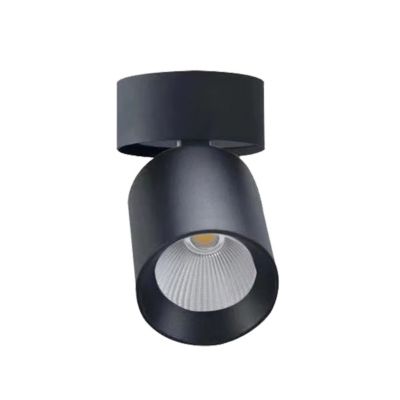 Spot LED en Saillie Orientable 20W CCT(3000K - 4000K - 6500K), rotatif à 360 degrés - Noir