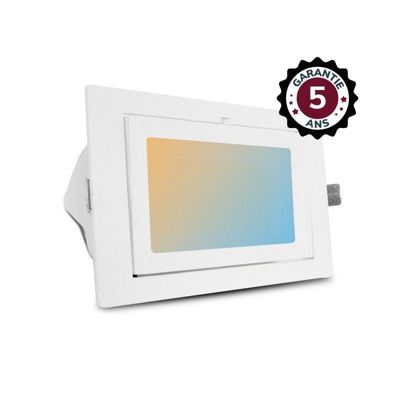 Spot LED Rectangulaire Inclinable 32/38W CCT 240x145mm Garantie 5 ans