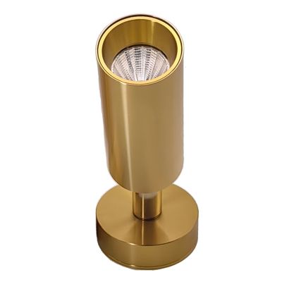 Spot mural/plafonnier LED, mini projecteur en laiton rotatif réglable, 7W 800Lm 3000k blanc chaud