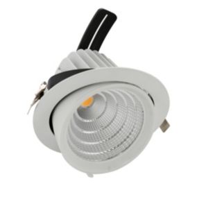 Spot Orientable LED COB Escargot 12W Blanc chaud 3000K