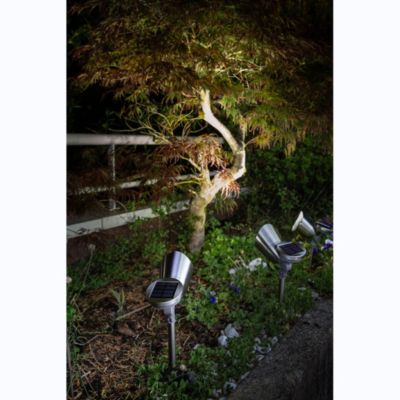 Spot solaire en inox à piquer- Hauteur 32,5cm- 3 LED blanches- 30 Lumens- Eclairage extérieur Jardin