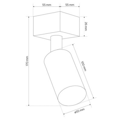 Spots de Plafond Orientables 5,5cm MALGA 1 Black 1xGU10 noir EDO