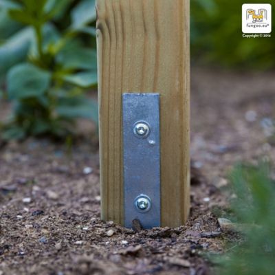 Station de jeux Fungoo Lucas en bois FSC