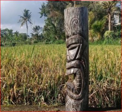 Statue Tiki Mauri cendré Penez Herman 46514 sculptée à la main en cocotier H.50 cm