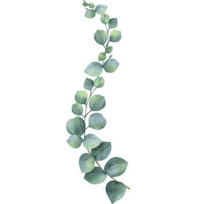 Sticker mural décoratif 68 cm X 24 cm, illustration aquarelle de branche d'eucalyptus, décoration intérieure pour la maison.