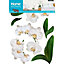 Sticker Orchidée blanche