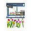 Sticker vitres Tulipes