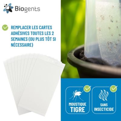 Sticky card vendu par 10 pour piège à moustiques BG-GAT