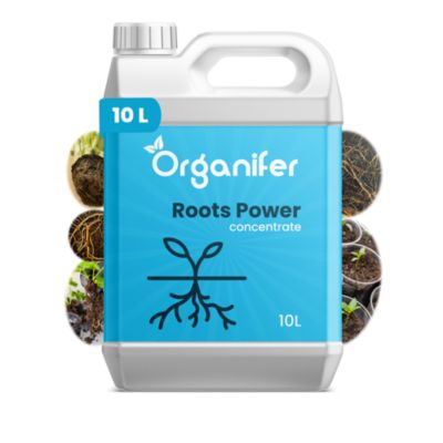 Stimulateur de Racines - Roots Power Concentré - 10 l - Organifer