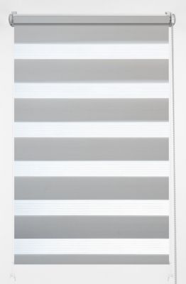 Store enrouleur DECORI Jour et Nuit 70X150 21 gris clair, 1 pièce