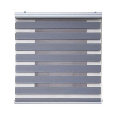 Store Enrouleur Jour Nuit Premium Finitions en Aluminium Argent 160 x 250 cm