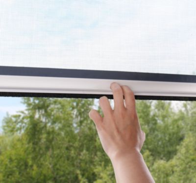 Store Moustiquaire Enroulable PVC pour Fenêtre - L.100 x H.160cm Recoupable - PVC Blanc - Lot de 2