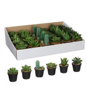 Succulente artificiel en pot vert 6 assorti ø7 x h.11 cm