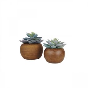 Succulente artificielle pot bois 15cm lot de 2