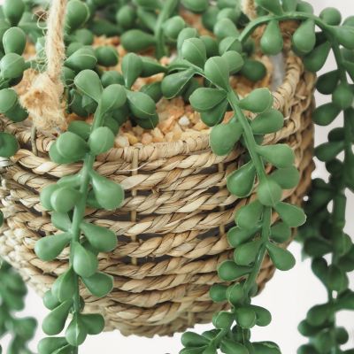 Succulente artificielle suspension 60cm