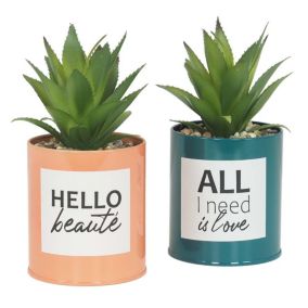 Succulentes artificielles dans pots à message 17 cm (Lot de 2)