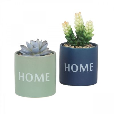 Succulentes artificielles HOME 10cm lot de 2