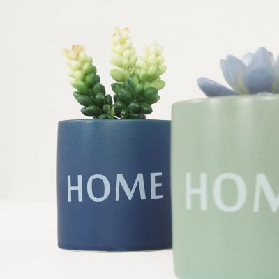 Succulentes artificielles HOME 10cm lot de 2