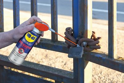 Super Dégrippant WD-40 Specialist 250ml