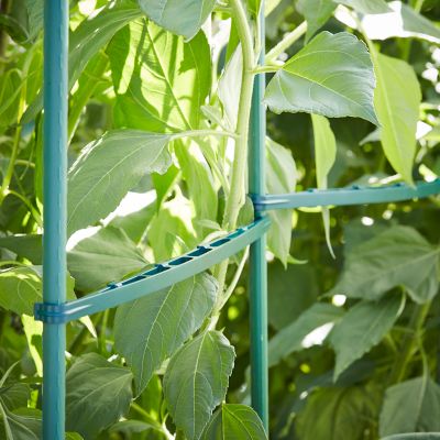 Support de fixation réglable à clipser sur tuteur Verve (lot de 9)