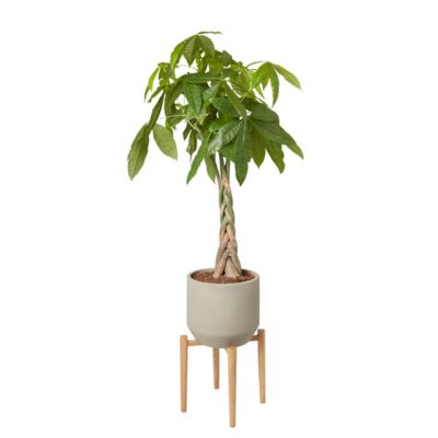 Support de pot pour plantes bois 24 cm GoodHome
