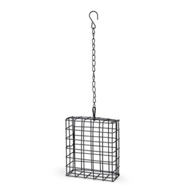 Support pain de graisse en métal noir pour oiseaux