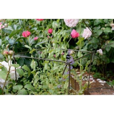 Support à plantes en acier (Lot de 6) 75 cm