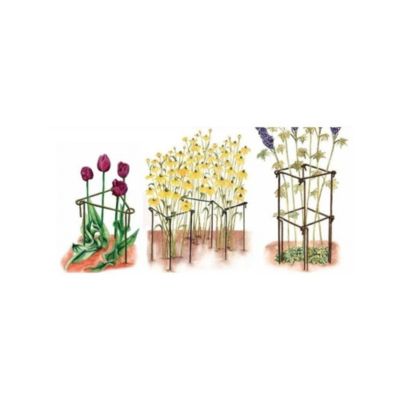 Support à plantes en acier (Lot de 6) 75 cm