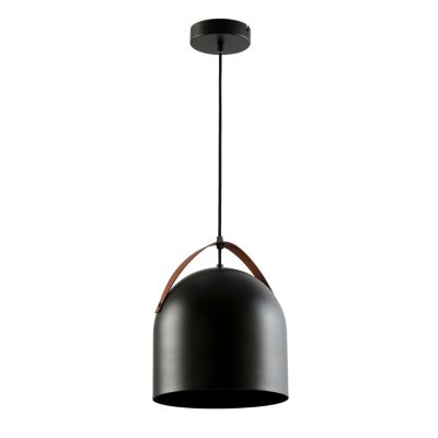 Suspension Hayott noir E27 15W IP20 Ø25 x H. 120 cm